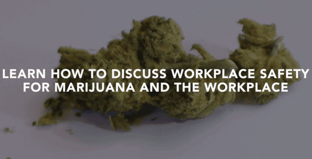 learn how to discuss workplace safety for marijuana and the workplace