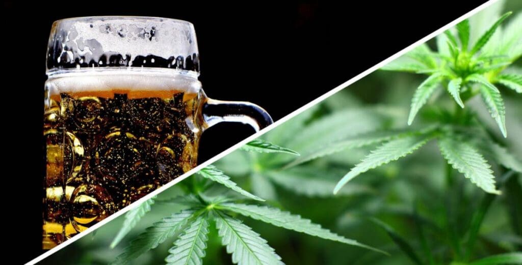 split image of cannabis and beer