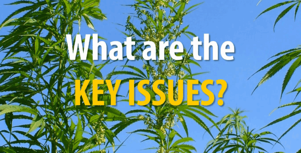 what are the key issues graphic